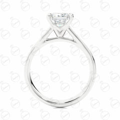 Princess Cut Solitaire With Accents Moissanite Ring for Women